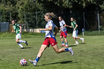 Bild 62 - wBJ Hamburger SV - VfL Wolfsburg : Ergebnis: 5:1